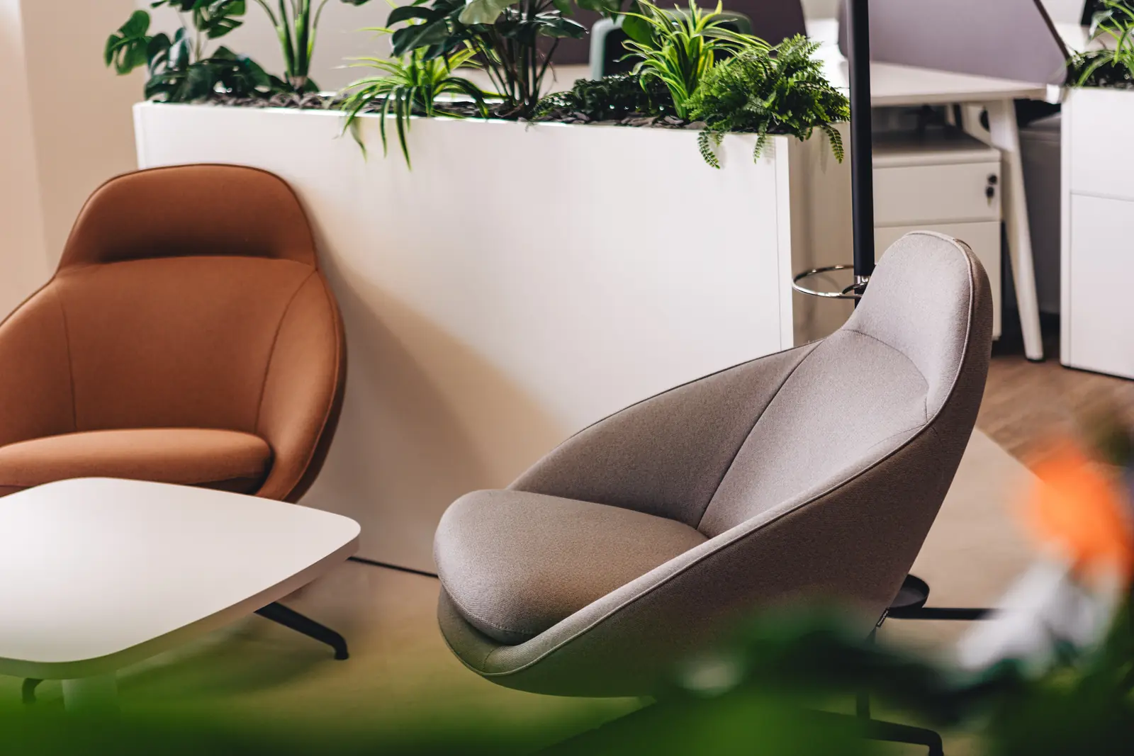 Fauteuils et plantes dans l’espace détente