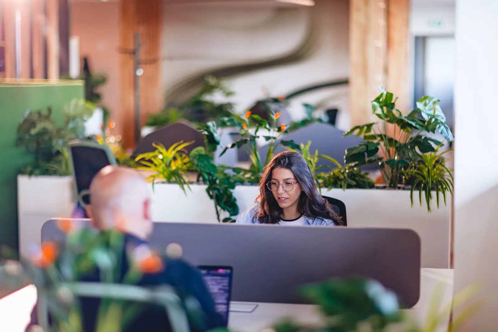 Coworkers au travail entre les plantes